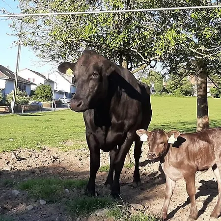 Alloggio per agriturismo Gruppenunterkunft Mit Billardtisch Und Lamatrekking