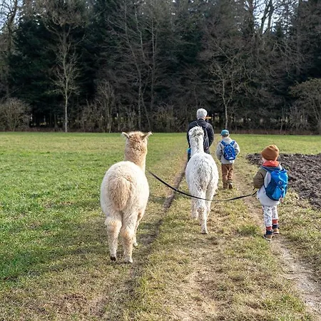 Gruppenunterkunft Mit Billardtisch Und Lamatrekking Meikirch
