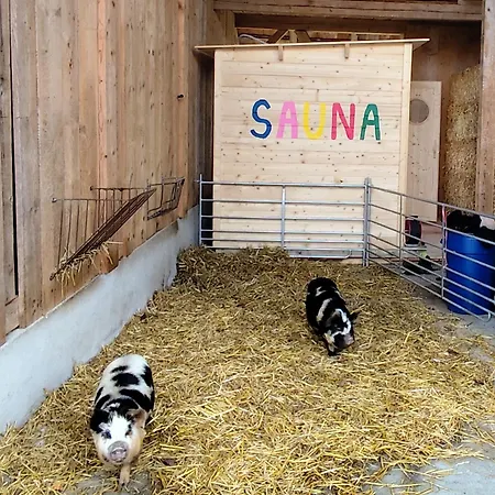 Gruppenunterkunft Mit Billardtisch Und Lamatrekking * Meikirch