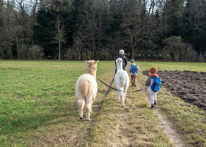 Gruppenunterkunft Mit Billardtisch Und Lamatrekking Meikirch